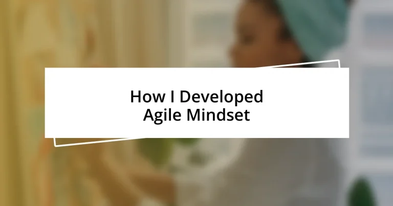 How I Developed Agile Mindset