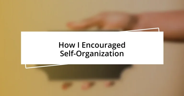 How I Encouraged Self-Organization