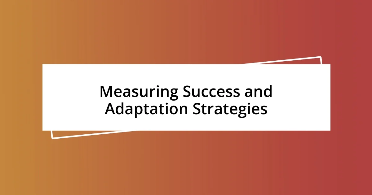 Measuring Success and Adaptation Strategies