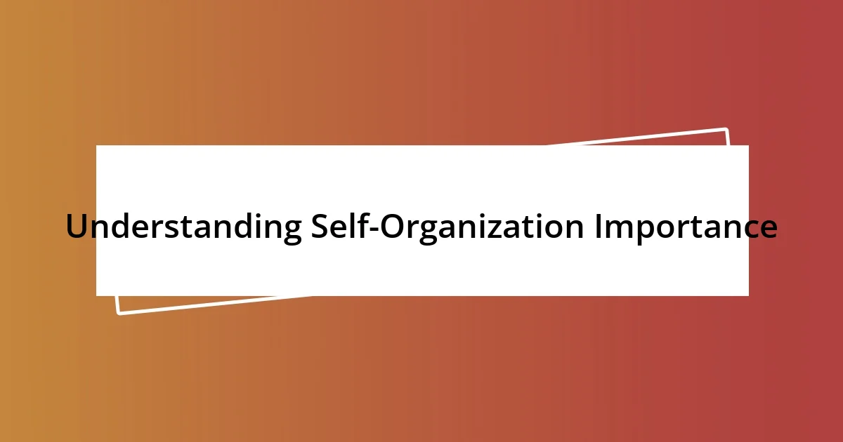 Understanding Self-Organization Importance