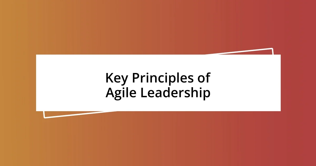 Key Principles of Agile Leadership