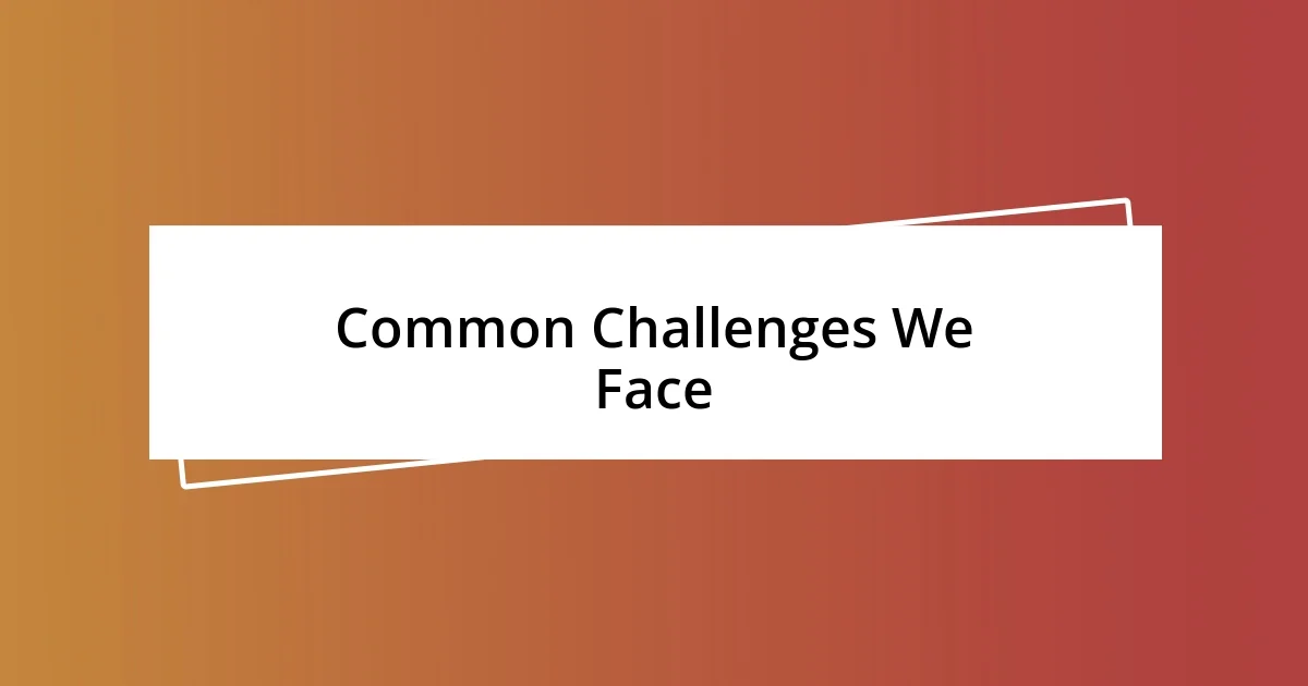 Common Challenges We Face